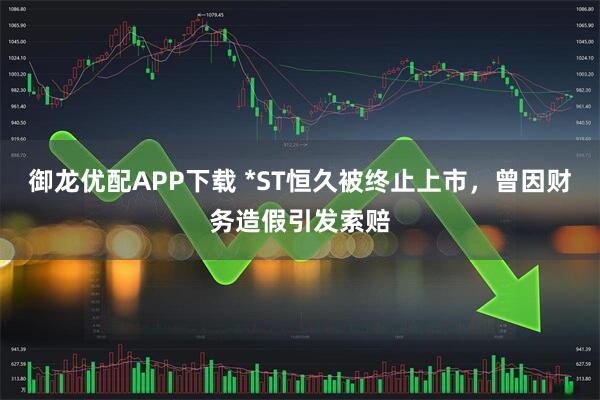 御龙优配APP下载 *ST恒久被终止上市，曾因财务造假引发索赔